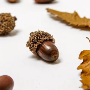 Текстуры карандашами. Осень