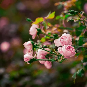 Философия и культурный код современности