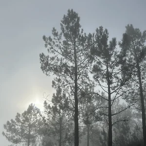 Сезоны и образ жизни