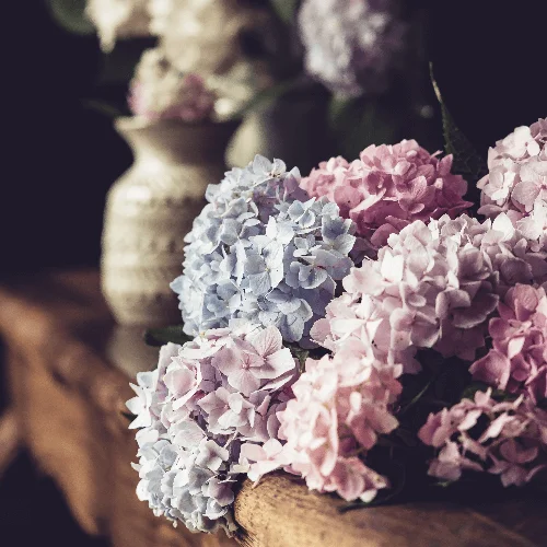 Реально красиво. Курс по фомфлористике и декору