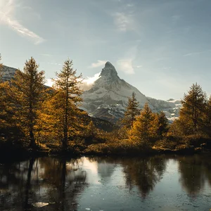 Основы Ба-цзы. Прогноз по Земным ветвям