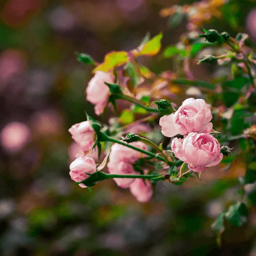 Философия и культурный код современности