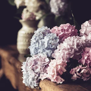 Реально красиво. Курс по фомфлористике и декору