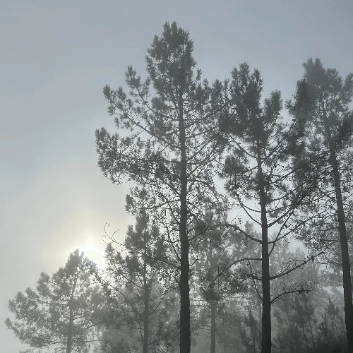 Сезоны и образ жизни