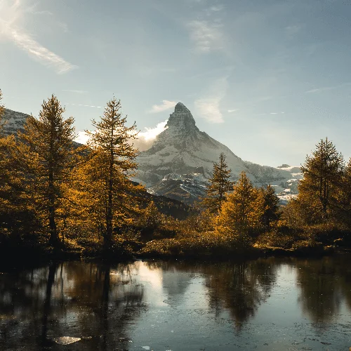 Основы Ба-цзы. Прогноз по Земным ветвям