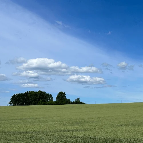 Секреты изображения неба